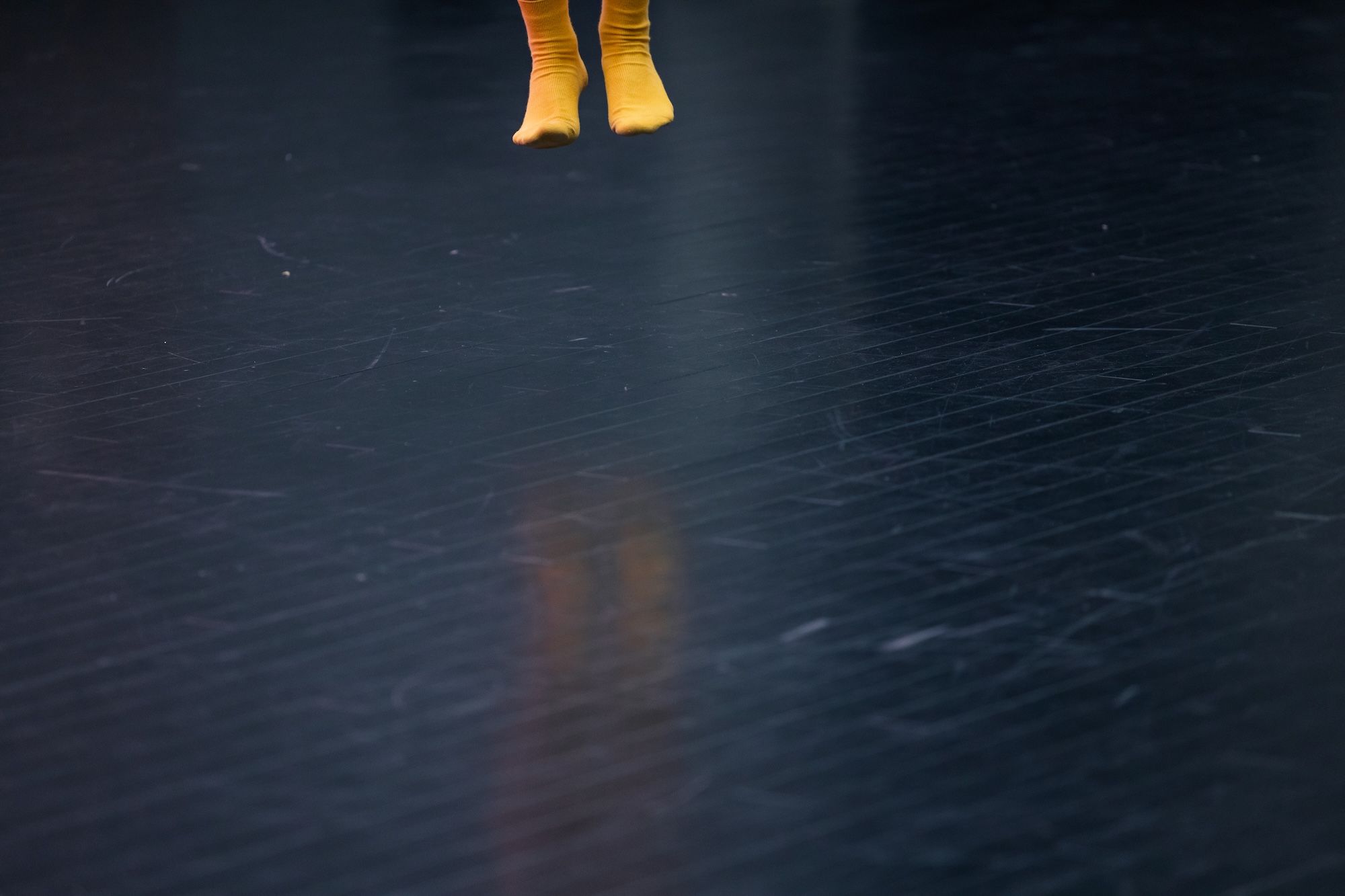 v3. — 1인의 몸을 위한 드라마트루기: 공작새 되기 & 러브 히메 펫탄코 짱 image